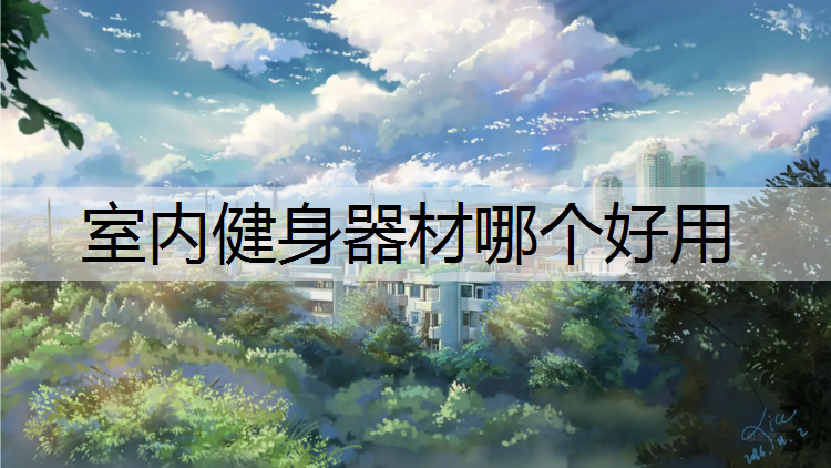 室内健身器材哪个好用