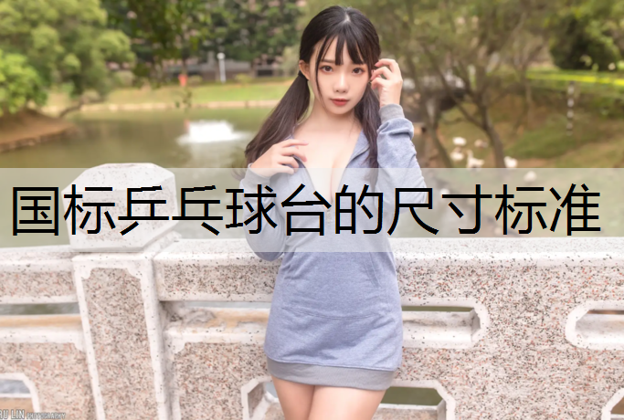 国标乒乓球台的尺寸标准
