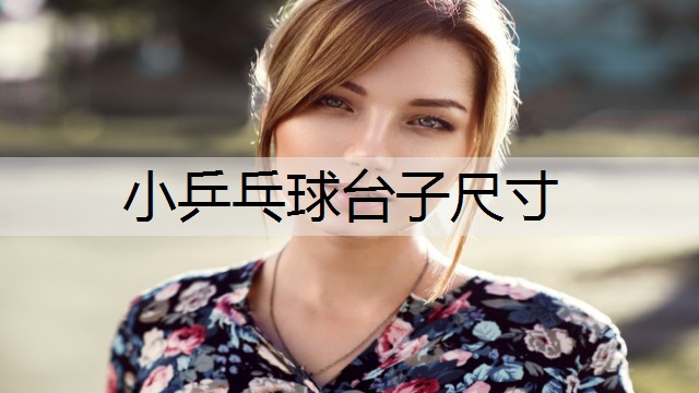小乒乓球台子尺寸