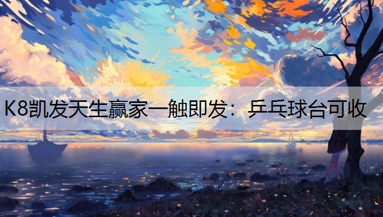 乒乓球台可收