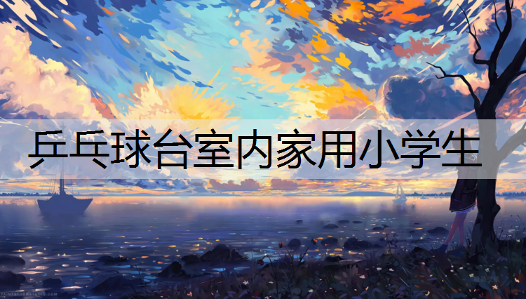 乒乓球台室内家用小学生