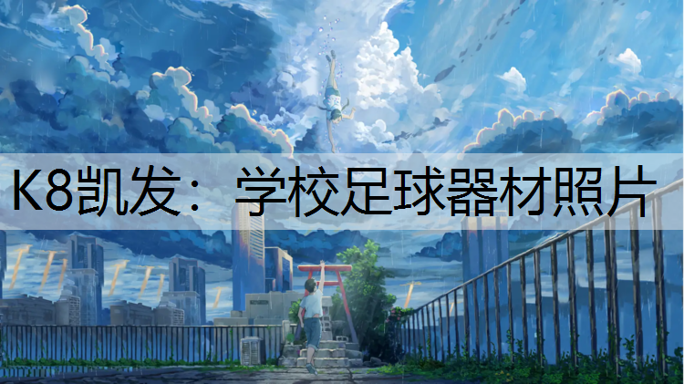 学校足球器材照片