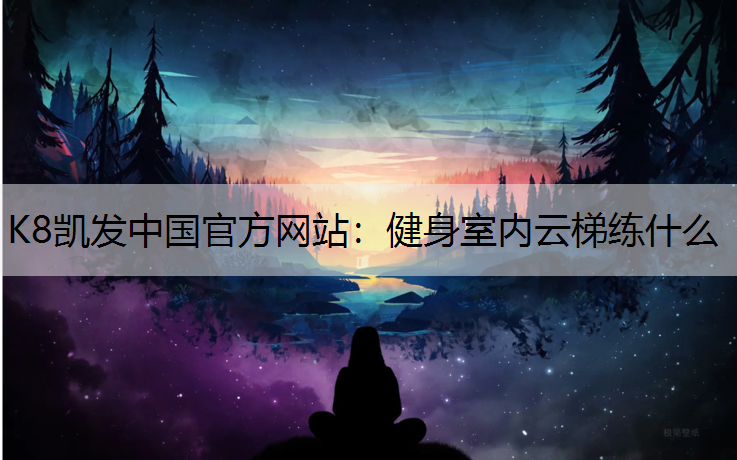 健身室内云梯练什么